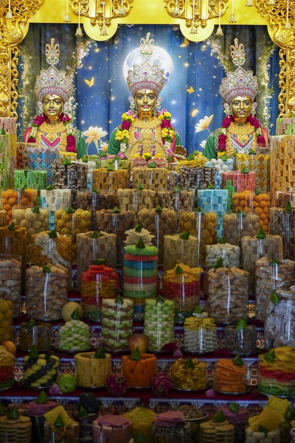 Diwali & Annakut Celebrations 2024, Gadhada