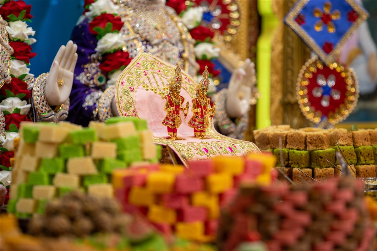 Annakut Celebration 2024, Auckland