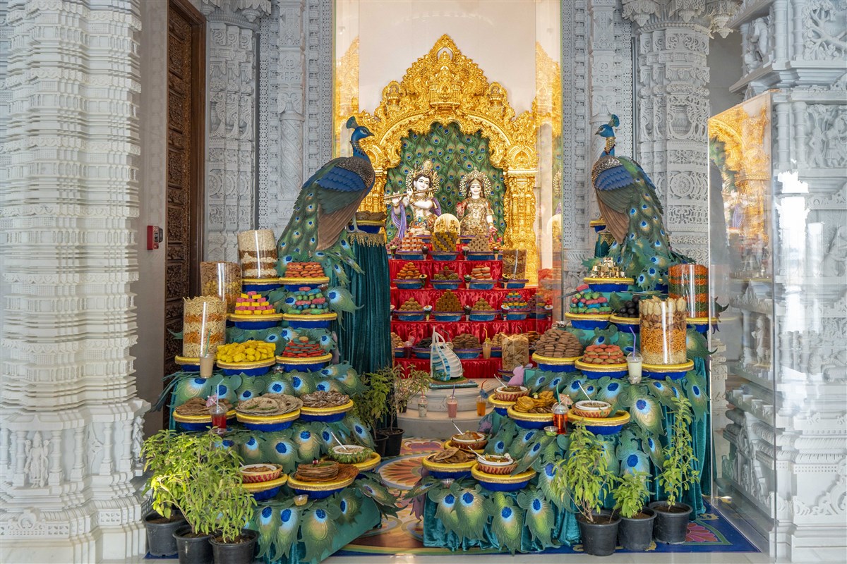 Annakut offered with the theme of peacocks at the shrine of Bhagwan Shri Krishna and Shri Radhikaji