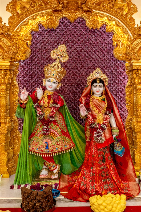 Bhagwan Shri Krishna and Shri Radhaji