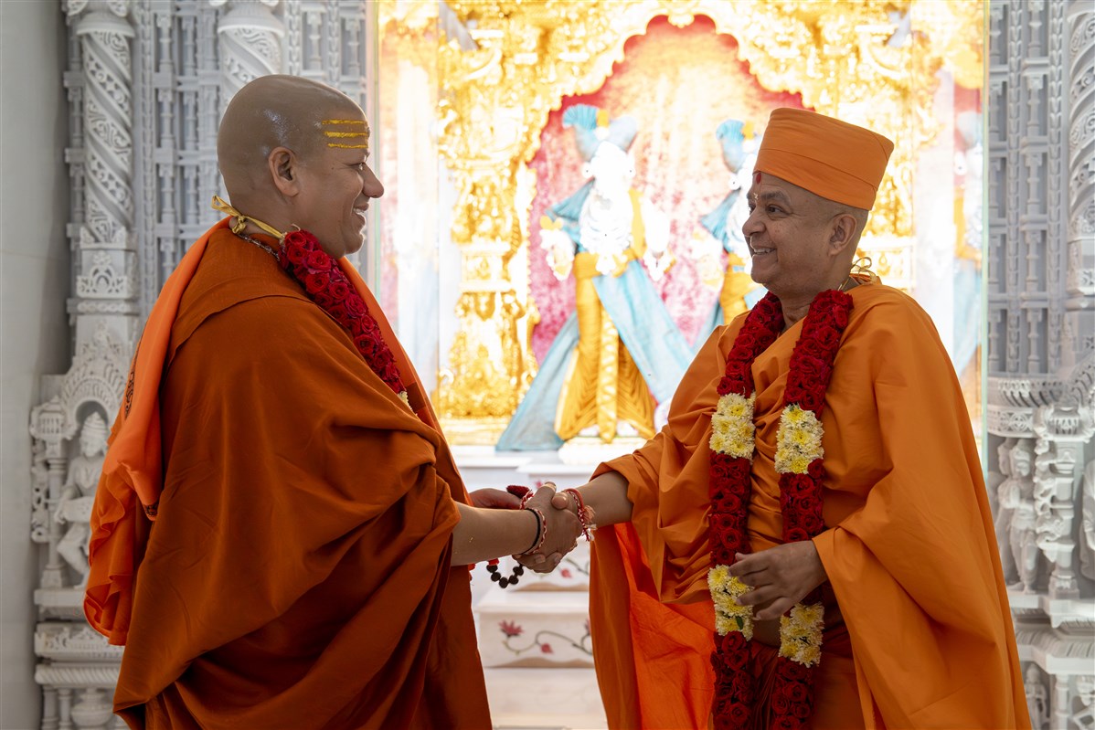 A symbolic gesture of unity and mutual respect through a warm handshake