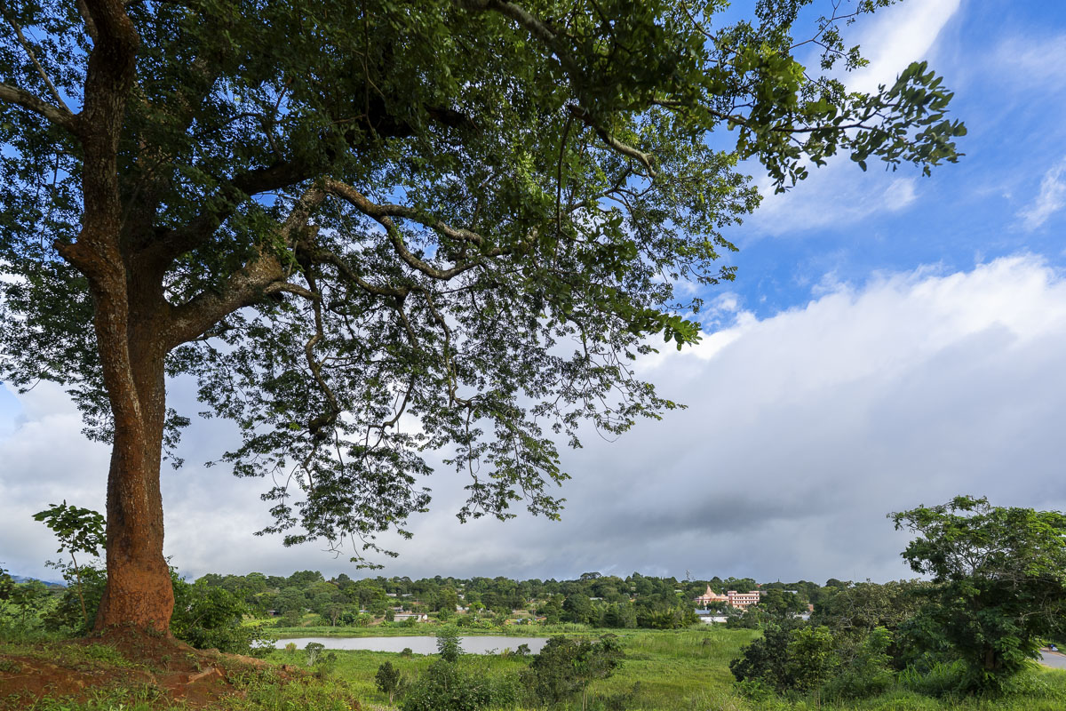 Mandir view
