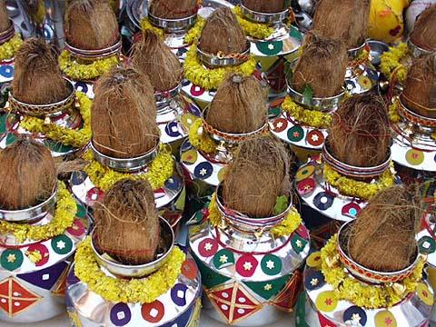 Kalashes with holy water from 108 rivers for the Maha Abhishek ceremony