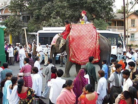 Lord Swaminarayan's murti majestically paraded on an elephant