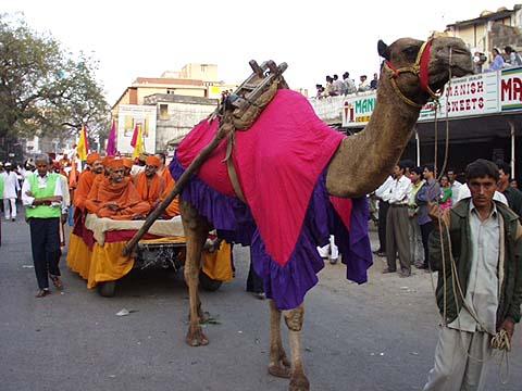 A decorated camel cart