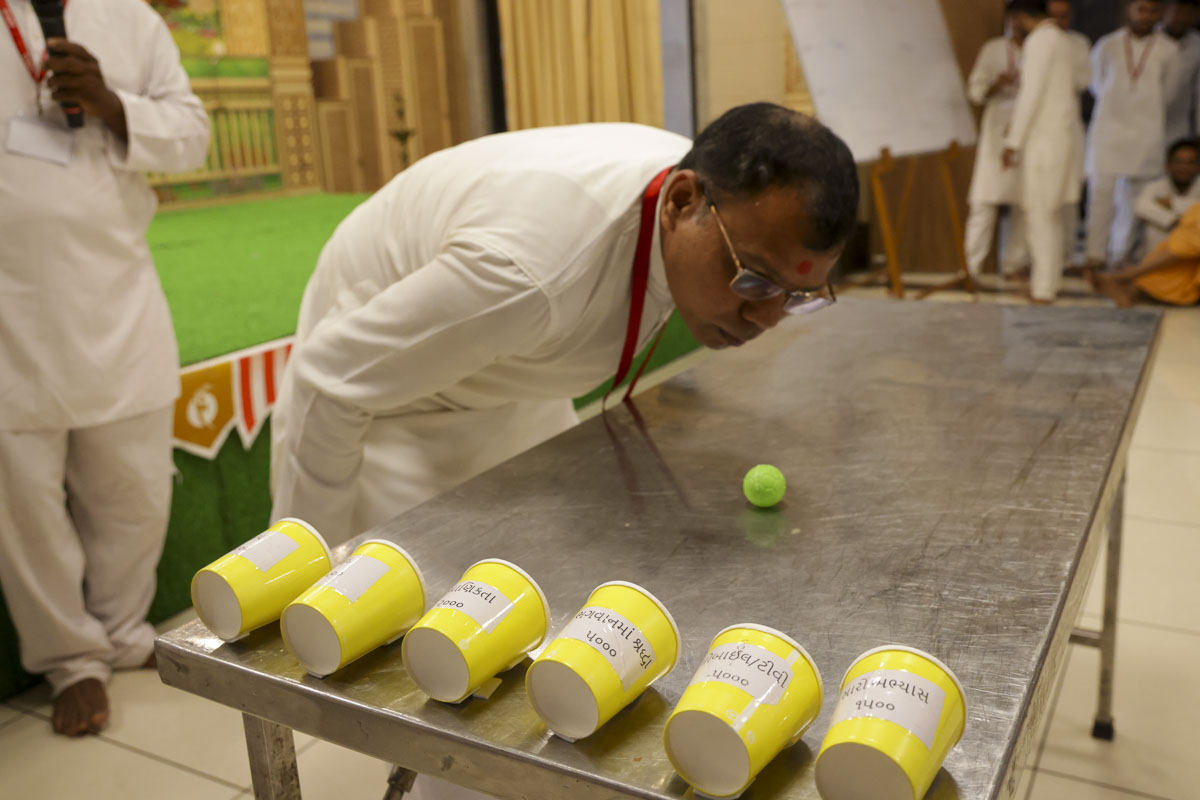 Regional Training Camps for BAPS Bal Activities Volunteers, India
