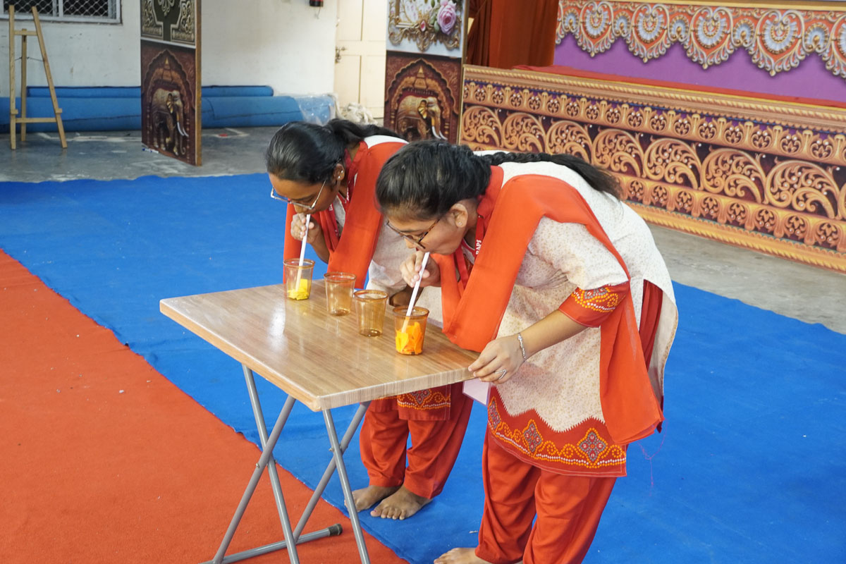 Regional Training Camps for BAPS Balika Activities Volunteers, India