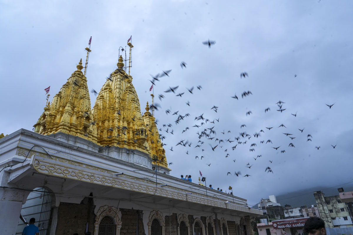 Yuva Shibir 2025: 'Lions of BAPS'