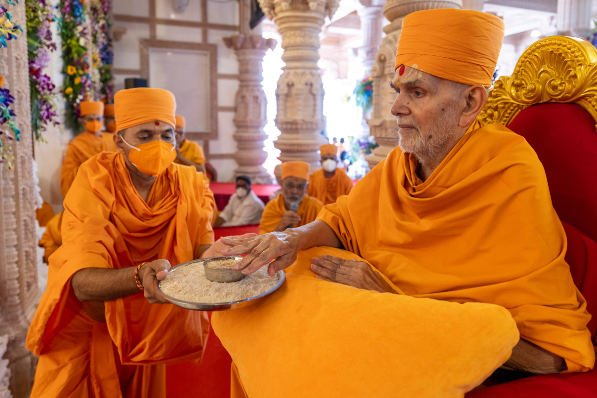 Swamishri sanctifies rice grains