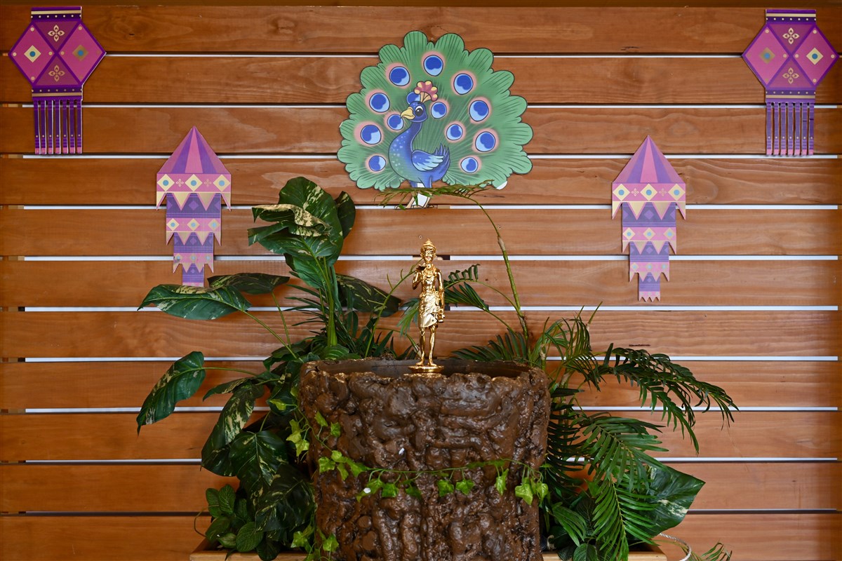 Annakut Celebrations 2025, Devonport