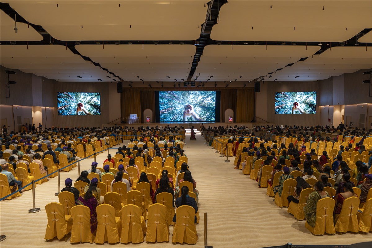 Four Million Hearts, One Message of Harmony: BAPS Hindu Mandir Celebrates 2nd Anniversary, Abu Dhabi