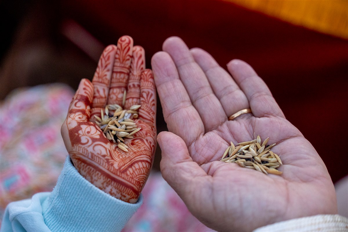 Devotees participate in the yagna rituals