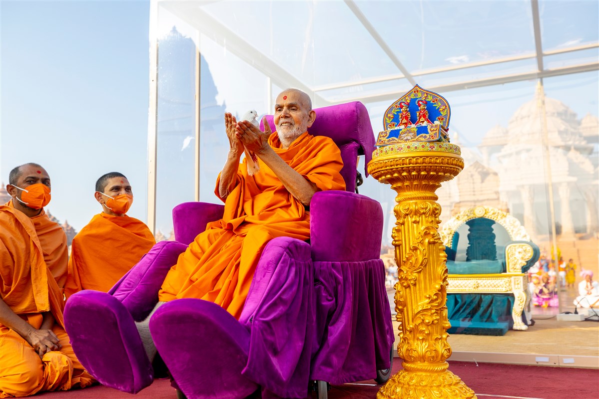 Swamishri blesses a pigeon