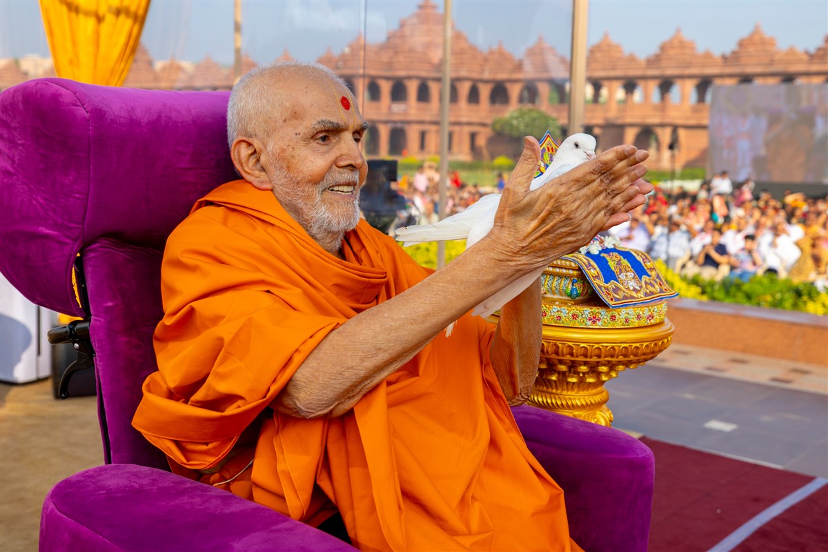 Swamishri blesses a pigeon