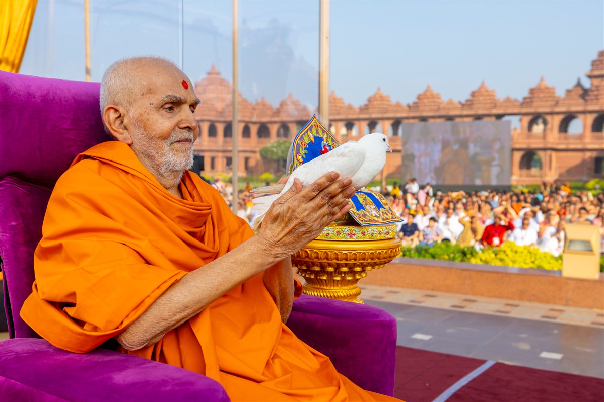 Swamishri holds a pigeon