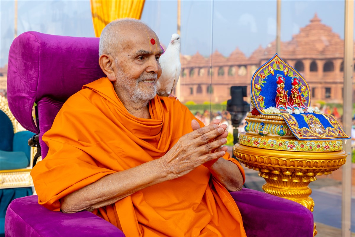 Pigeon on Swamishri's shoulder