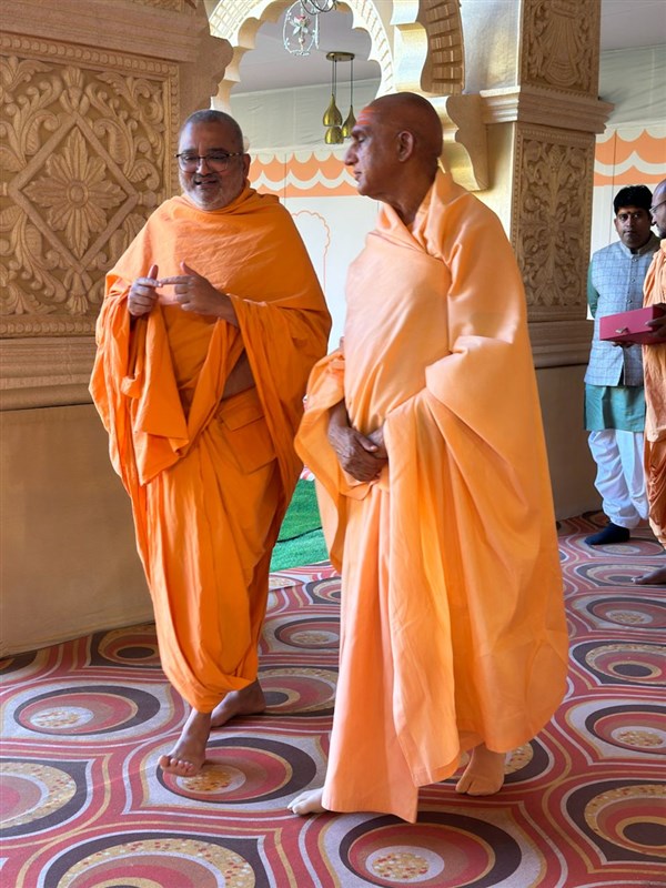 Bhadresh Swami in conversation with Junapithadhishwar Mahamandaleshwar Swami Avadheshanandagiriji Maharaj