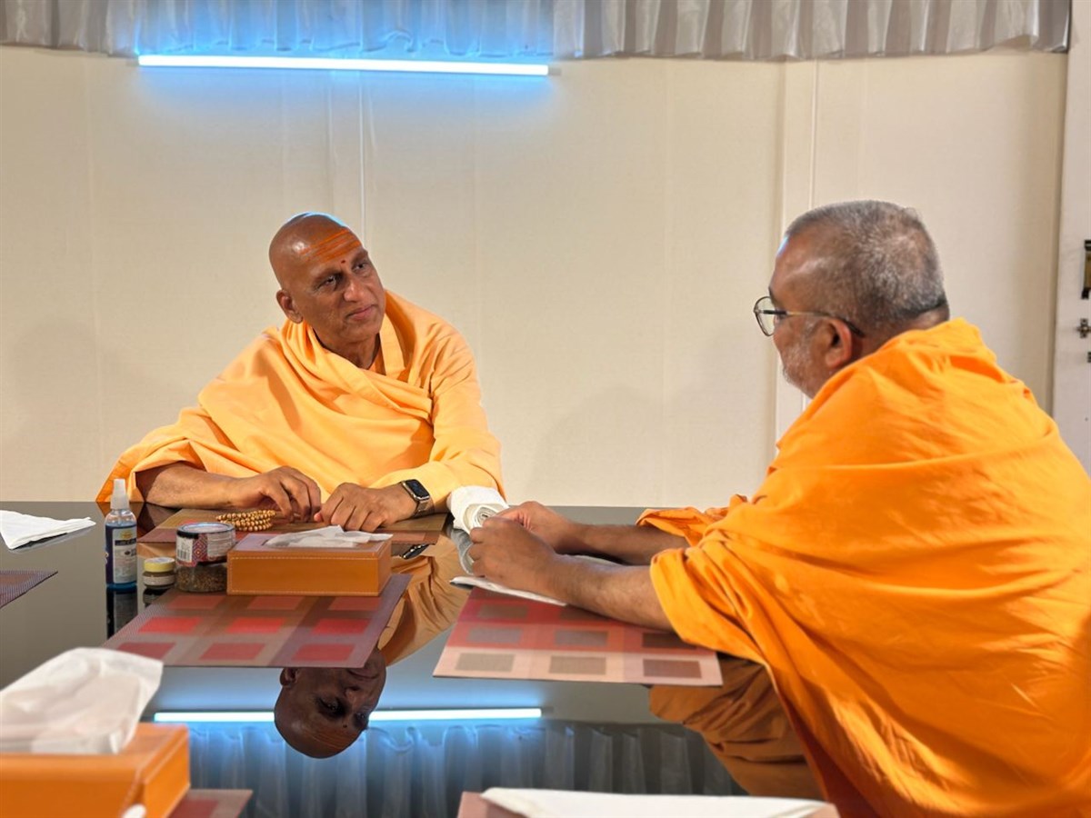 Bhadresh Swami in conversation with Junapithadhishwar Mahamandaleshwar Swami Avadheshanandagiriji Maharaj