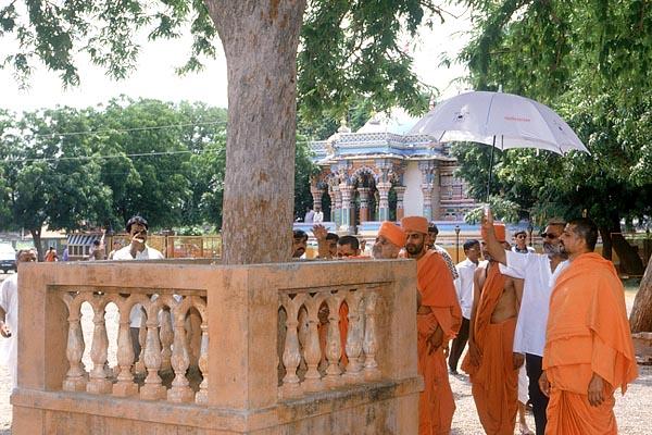 At the sanctified tamarind tree where Shriji Maharaj had been devotionally rocked on a swing, Laxmi Vadi