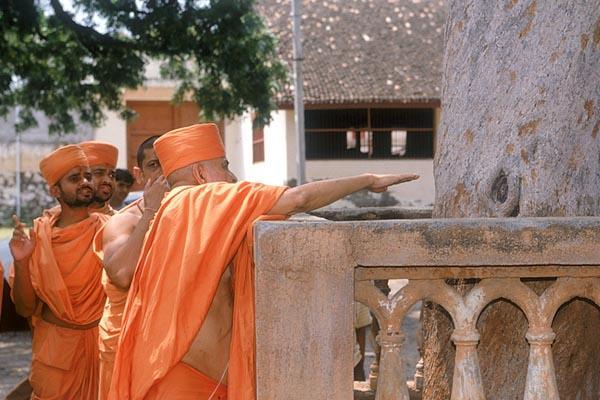 Out of glory and respect Swamishri touches the holy tamarind tree
