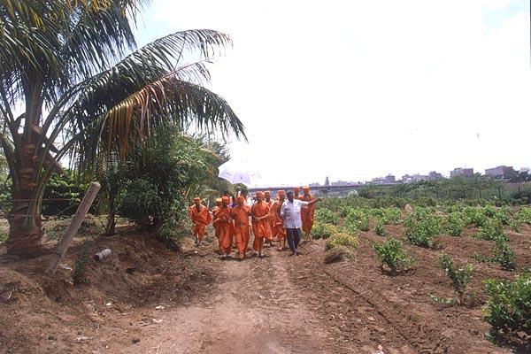 Swamishri sanctifies the mandir farm 