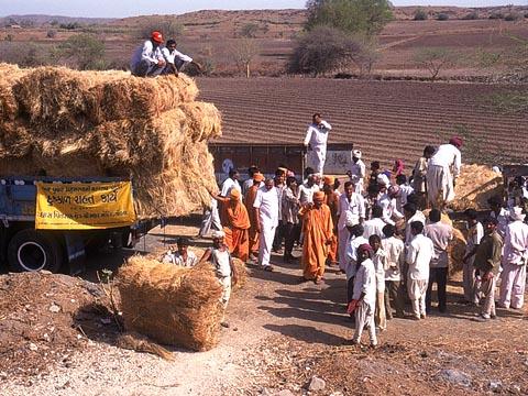 Drought Relief Work In Gujarat, India, 2000