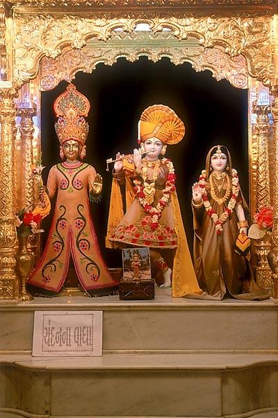 	Shri Harikrishna Maharaj and Shri Radha Krishna Dev