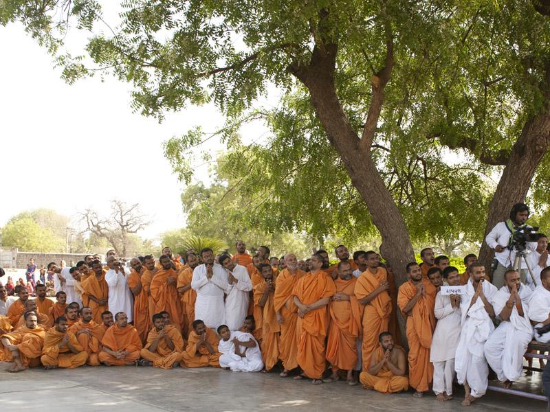  Sadhus engaged in darshan of Swamishri