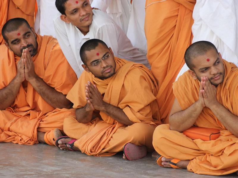  Sadhus engaged in darshan of Swamishri