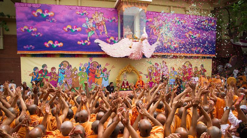  Sadhus enjoy the celebrations with flower petals in the presence of Swamishri