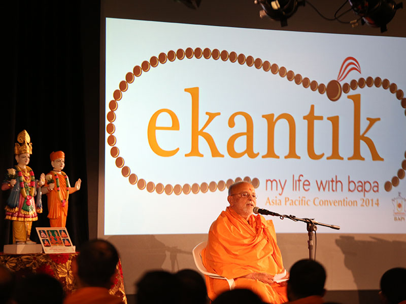Pujya Ishwarcharan Swami addressing the delegates