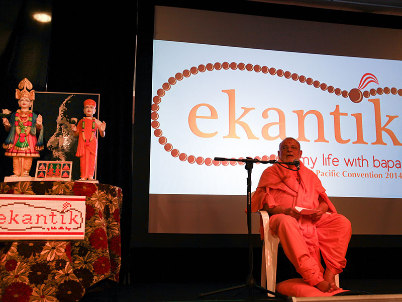 Pujya Ishwarcharan Swami addressing the delegates