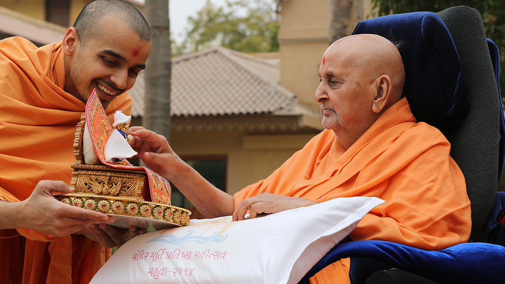 Swamishri engrossed in darshan of Shri Harikrishna Maharaj