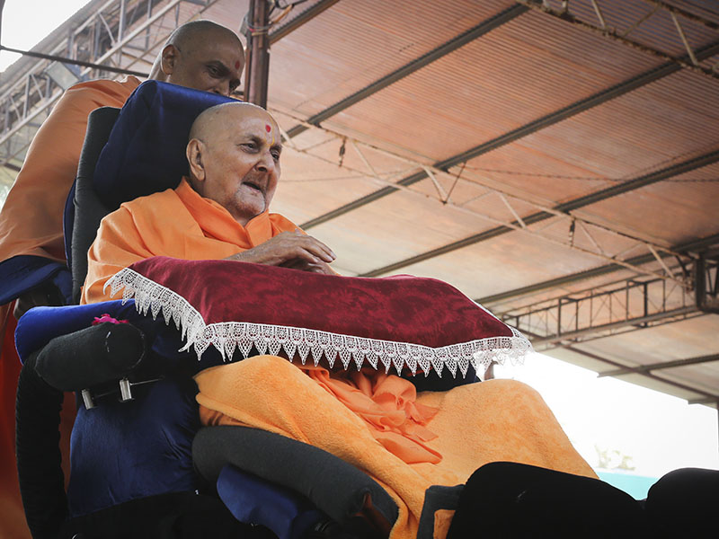 Swamishri arrives in the mandir grounds in afternoon