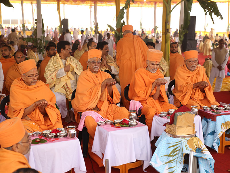 Senior sadhus perform yagna rituals for world peace