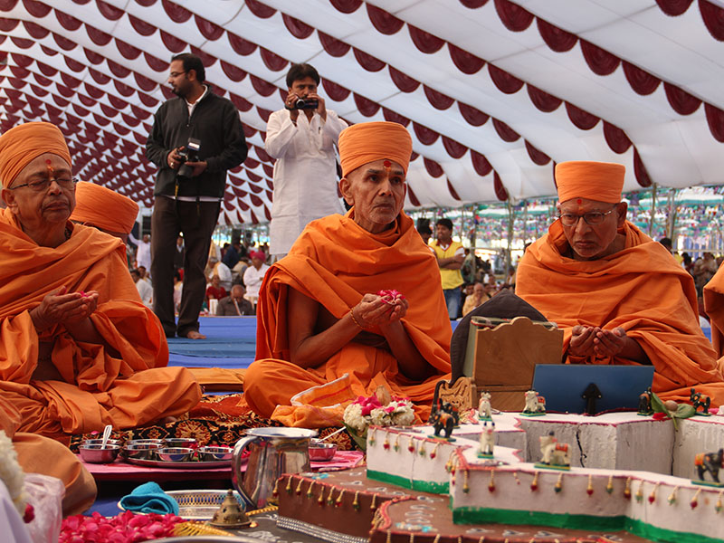 Senior sadhus perform yagna rituals for world peace