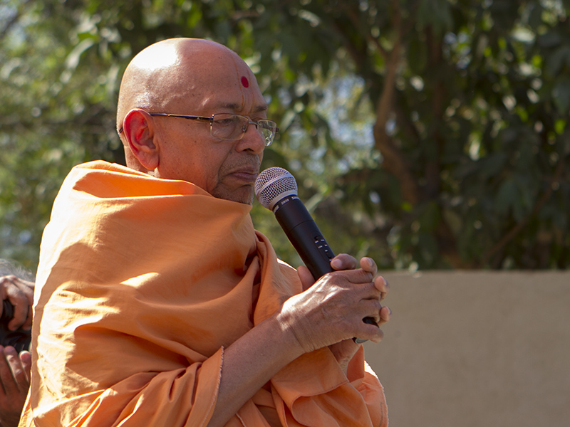 Pujya Tyagvallabh Swami offers prayers on Pushapdolotsav