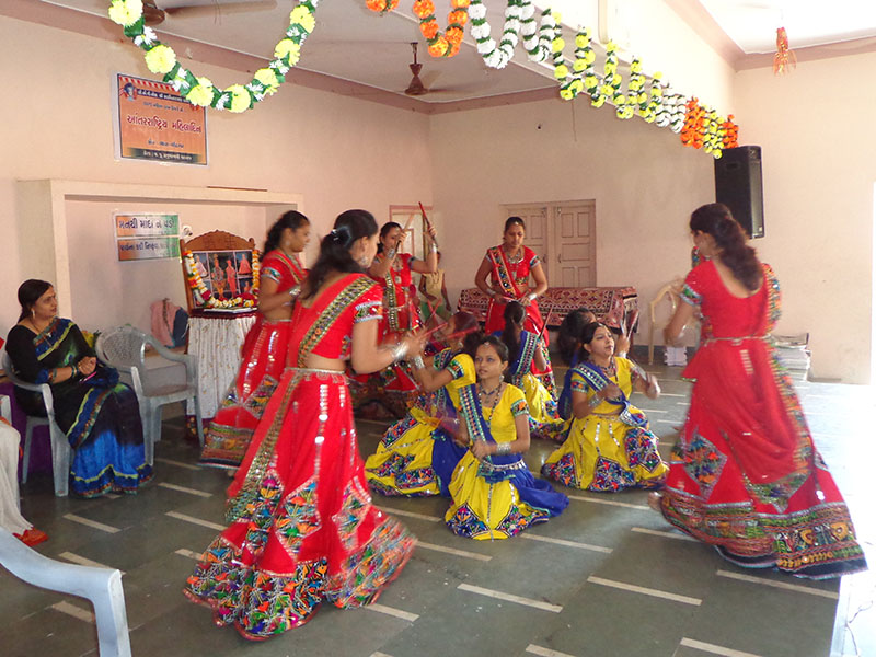 Mahila Din Celebrations 2014, Vyara