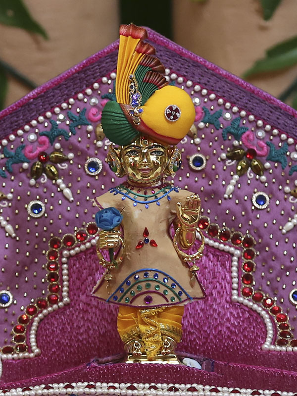 Chandan Adornments 2014, Shri Harikrishna Maharaj