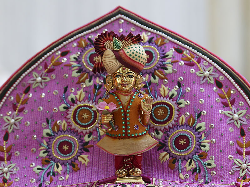 Chandan Adornments 2014, Shri Harikrishna Maharaj