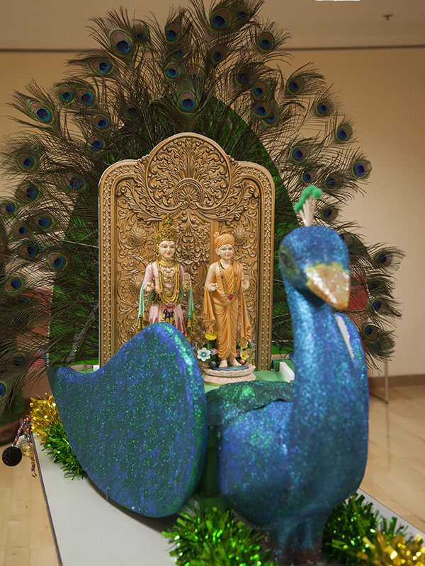 Nagar Yatra by the women devotees