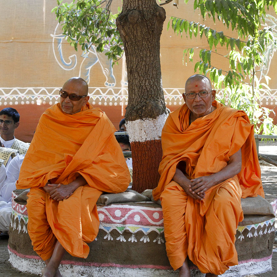 Pujya Tyagvallabh Swami and Pujya Bhaktipriya Swami (Pujya Kothari Swami) doing darshan of Swamishri