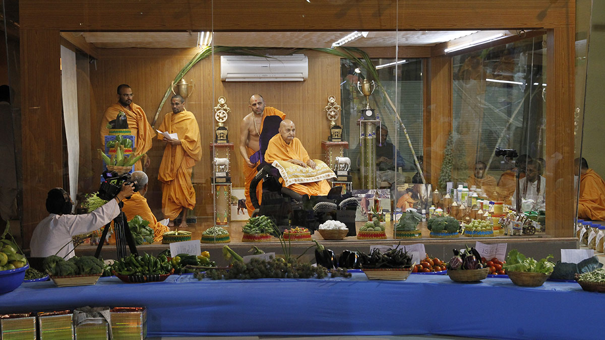 Swamishri views and sanctifies vegetables produced in the mandir farms in and around Sarangpur