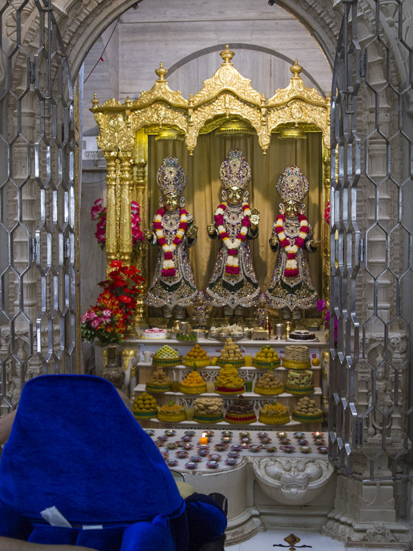 HH Pramukh Swami Maharaj engrossed in darshan of Thkorji