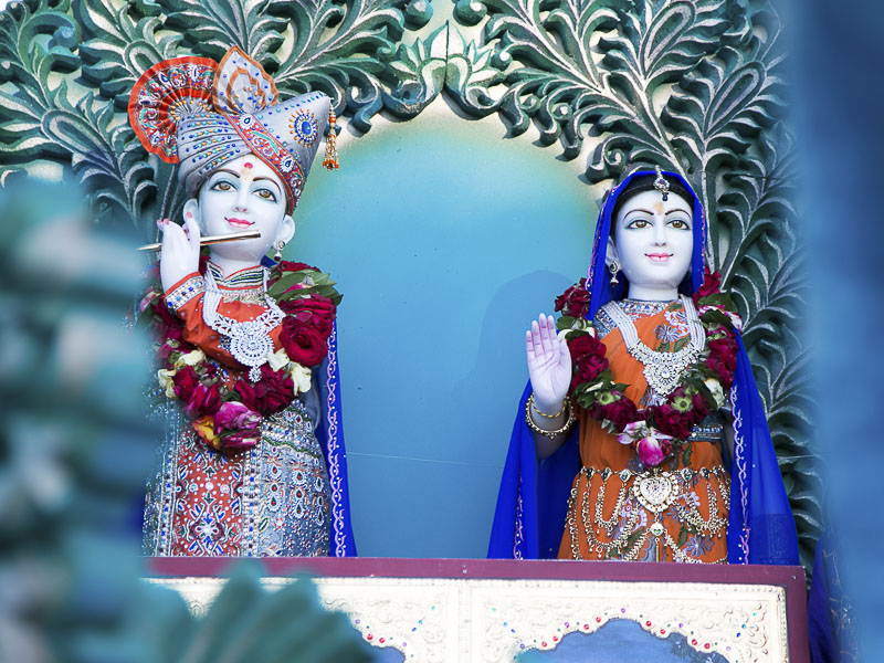 Shri Radha-Krishna Dev in a rath