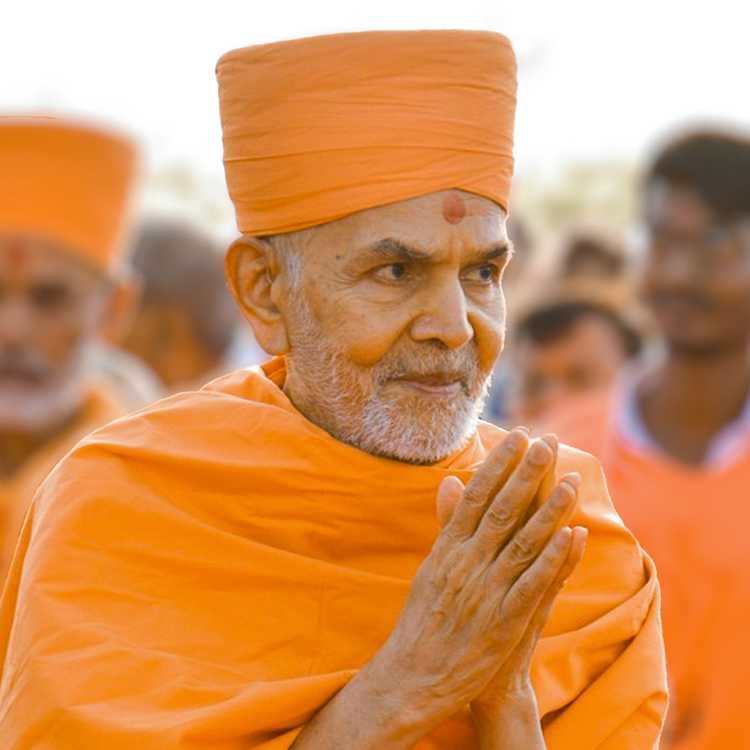 His Holiness Mahant Swami Maharaj Birthday Celebration
