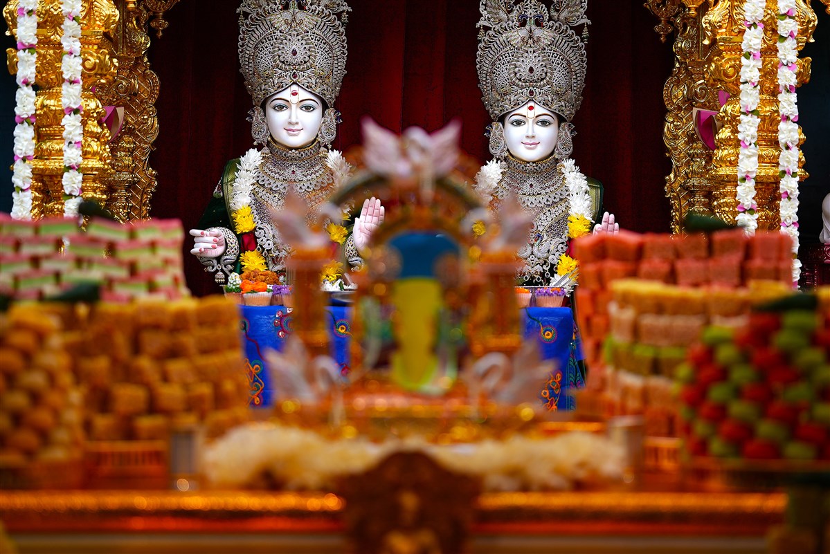 Diwali & Sharda Pujan