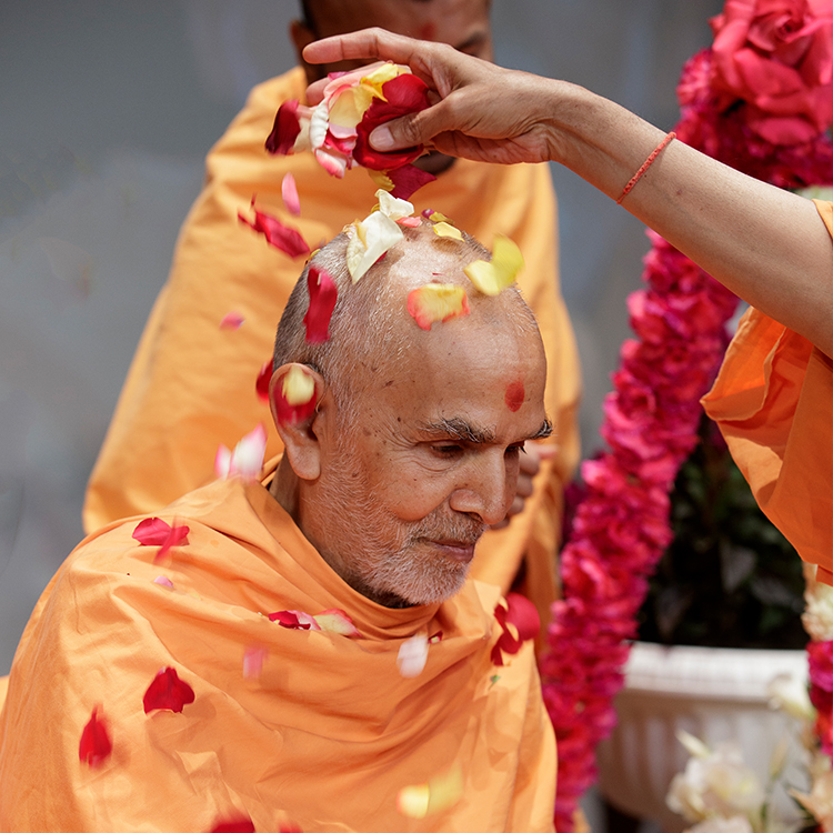 Pushpadolotsav (Holi)