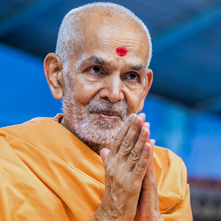 His Holiness Mahant Swami Maharaj Birthday Celebration