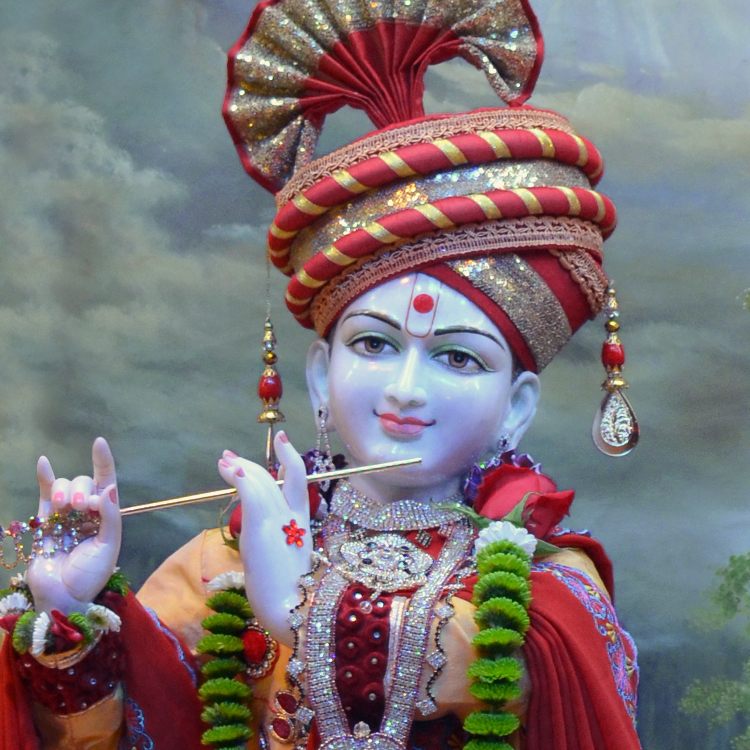 Janmashtami Celebration